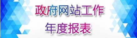 政府網(wǎng)站工作年度報(bào)表